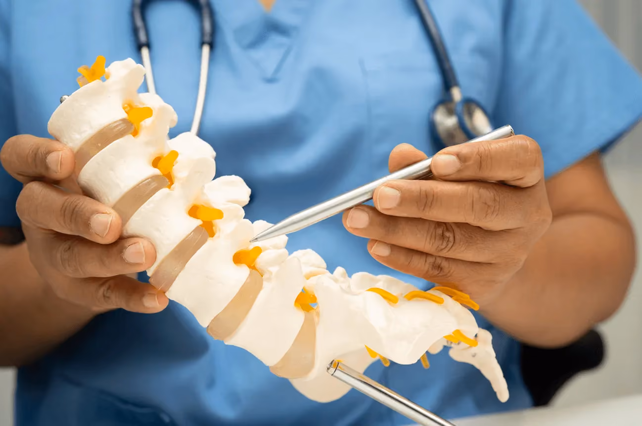 Close-up of a doctor pointing to a model of the spine to explain spinal stenosis and the best spine care available in Los Angeles