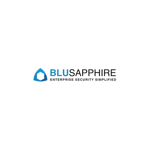 Blue Sapphire company logo with a stylized blue shield and text 'BLU SAPPHIRE Enterprise Security Suppliers'.
