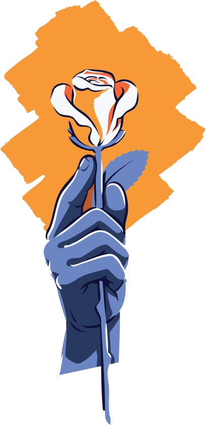 An illustration of a hand holding a white and orange rose
