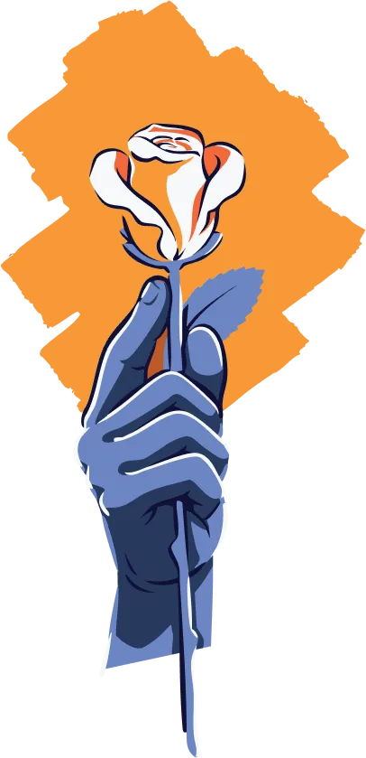 An illustration of a hand holding a white and orange rose