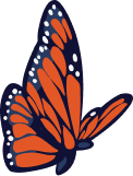 A butterfly in the air