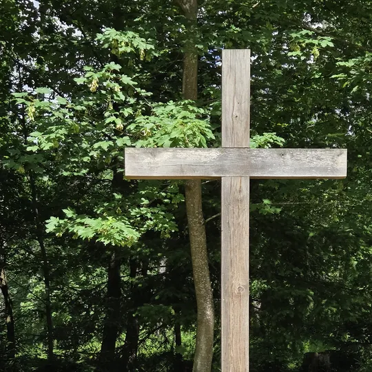 Ein verwittertes Holzkreuz steht in einem üppig grünen Wald in Dachau, durch dessen Blätter Sonnenlicht filtert.