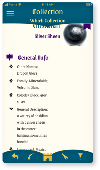 Preview of app screen for a specimen entry for silver sheen obsidian