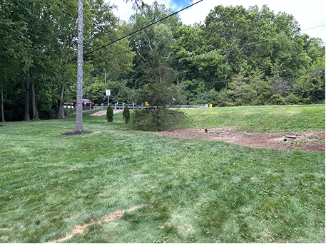 Grass yard with no tree line