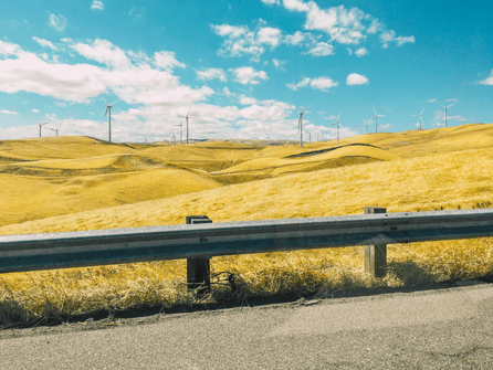What is CDP and how do companies report using the CDP framework?