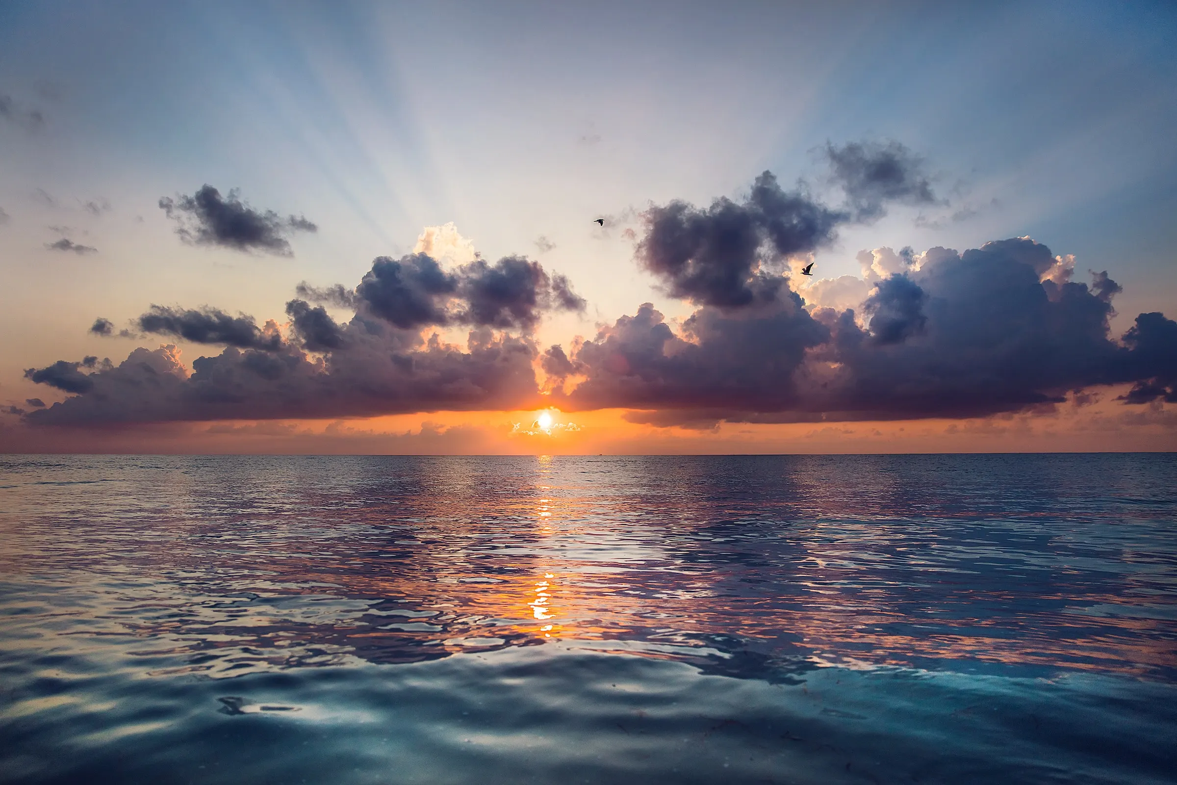What the new ISSB global sustainability and climate disclosure standards mean for your business