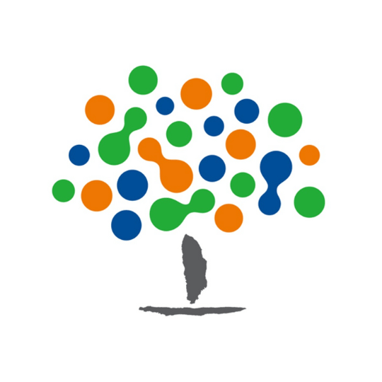 Alaya Consulting