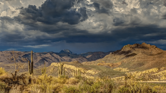 From data fatigue to decarbonization: Charting the course for sustainable supply chains