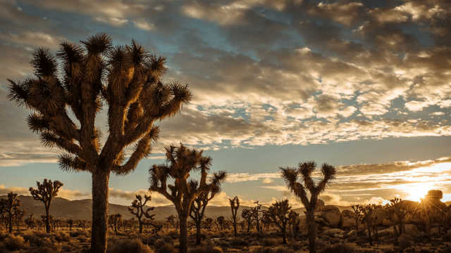 How technology can streamline California SB 253 and SB 261 compliance — and save companies thousands