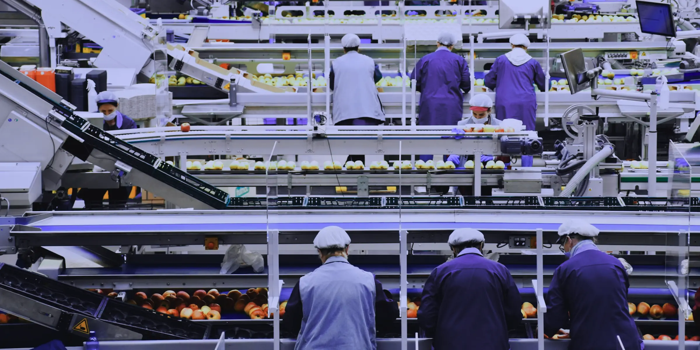 ASRS and the food and beverage sector: managing carbon risk and building supply chain resilience