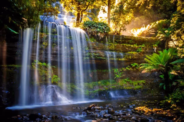 130+ Russell Falls Stock Photos, Pictures & Royalty-Free Images - iStock | Russell falls tasmania