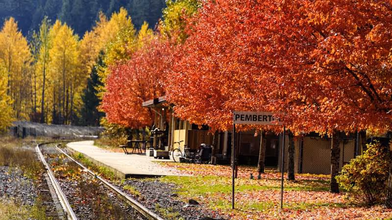 Autumn Activities in Pemberton