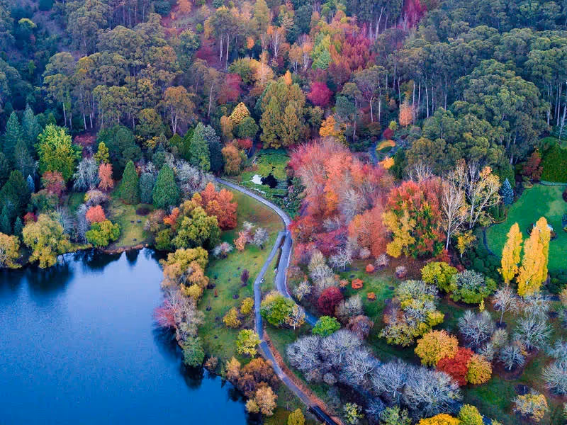 Visit Adelaide Hills I Autumn | Visit Adelaide Hills