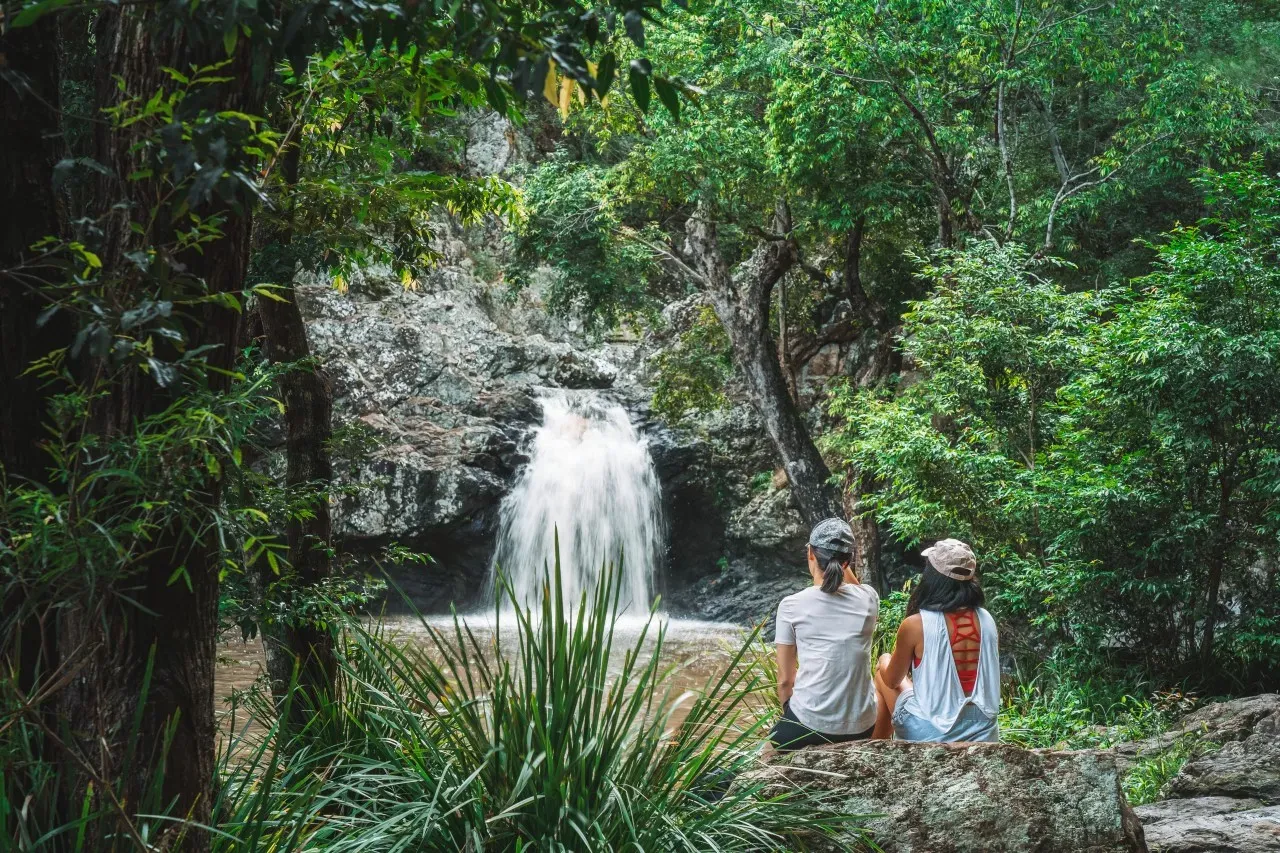 Kondalilla National Park | things to do Montville