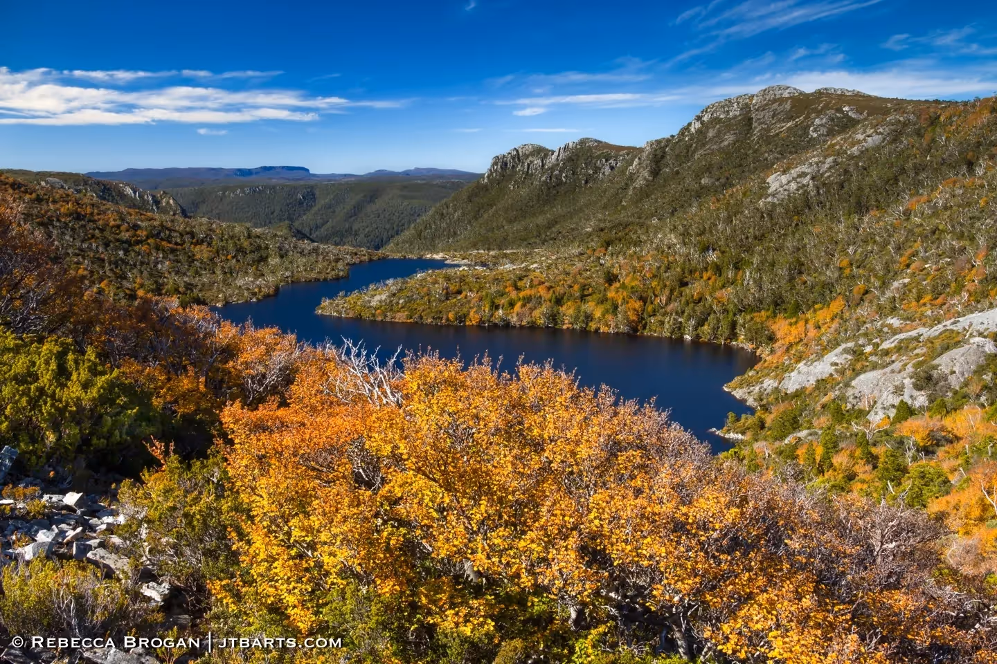 Fagus at Lake Hanson – CRAD1 – John The Baptist Artworks