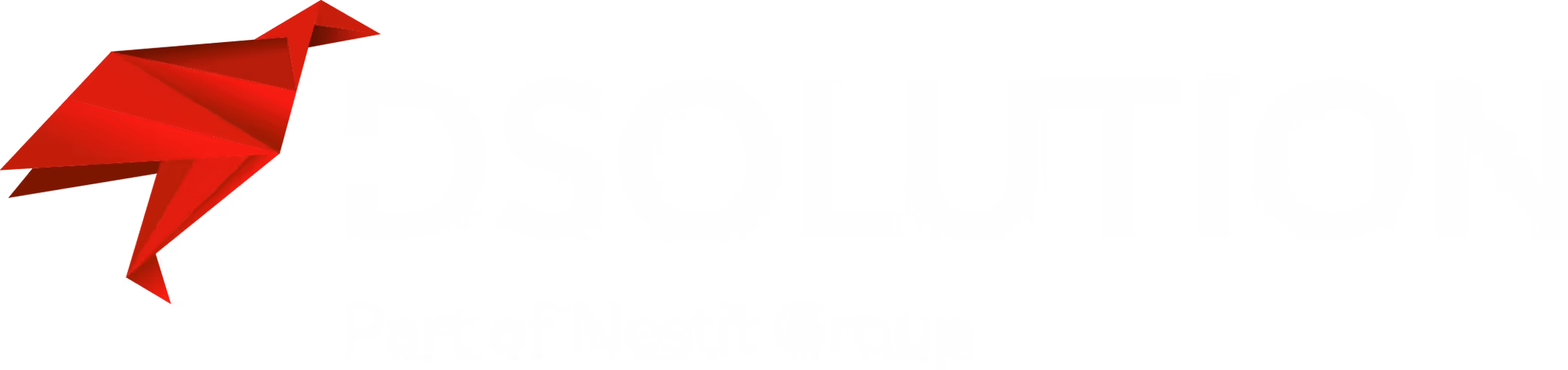 DSolution logo