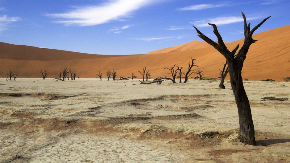 L’Afrique Parie sur l’Adaptation Climatique : Pourquoi la Finance Privée N’est Plus une Option