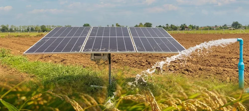 Les agriculteurs burkinabè adoptent l’énergie propre pour transformer l’économie rurale