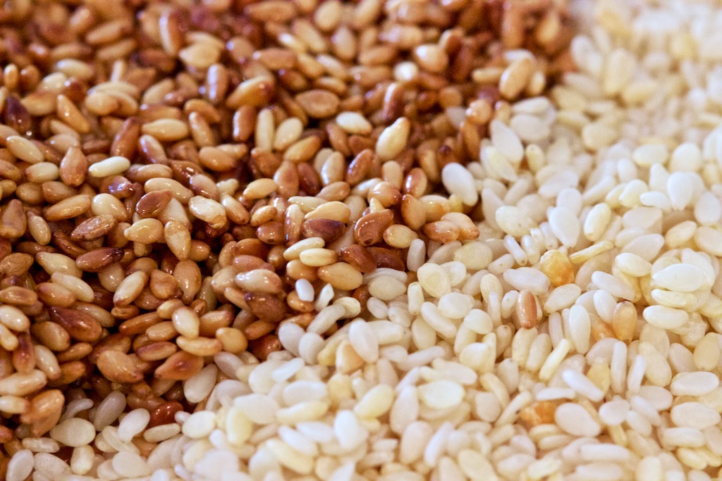 Le Mozambique renforce l’agro‑transformation avec une usine de sésame de 30 millions de dollars