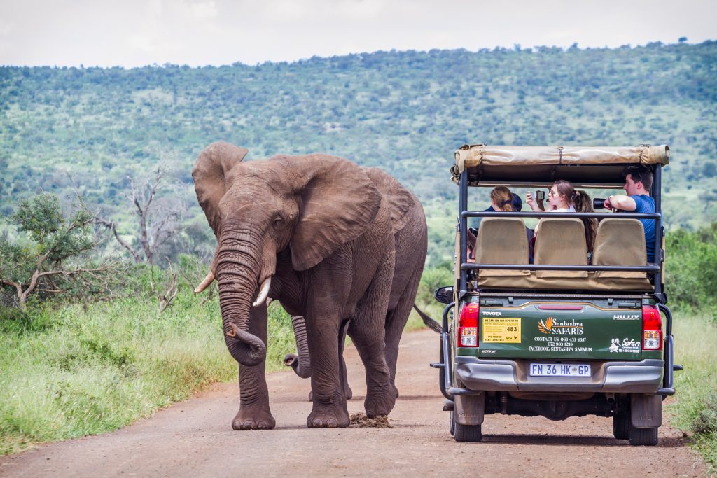 Africa’s Tourism Rebounds Above Pre-Pandemic Levels With Strong Arrivals, Higher Spending, and Expanding Investment Opportunities