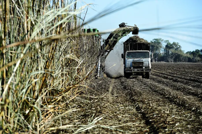 South Africa Sugar Industry Split Over Import Tariff Reference Price