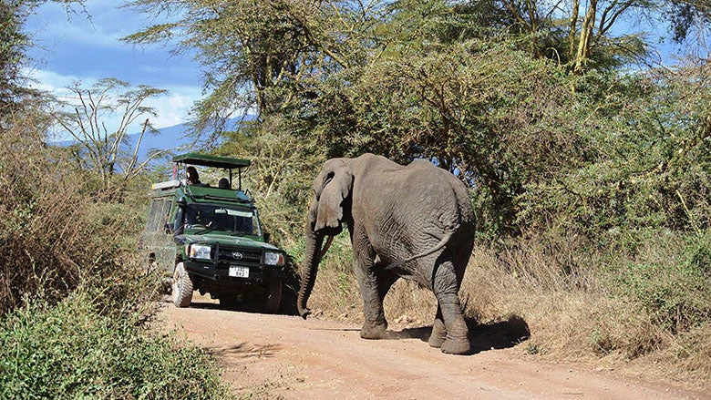 Africa's $166 million conservation network expands with billionaire backing