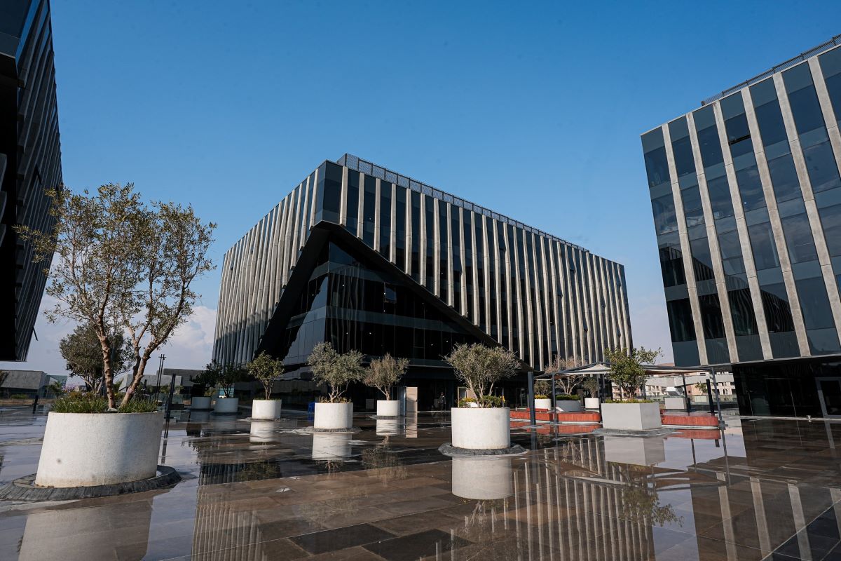 Egypt’s Beltone sees Baobab dominate revenue