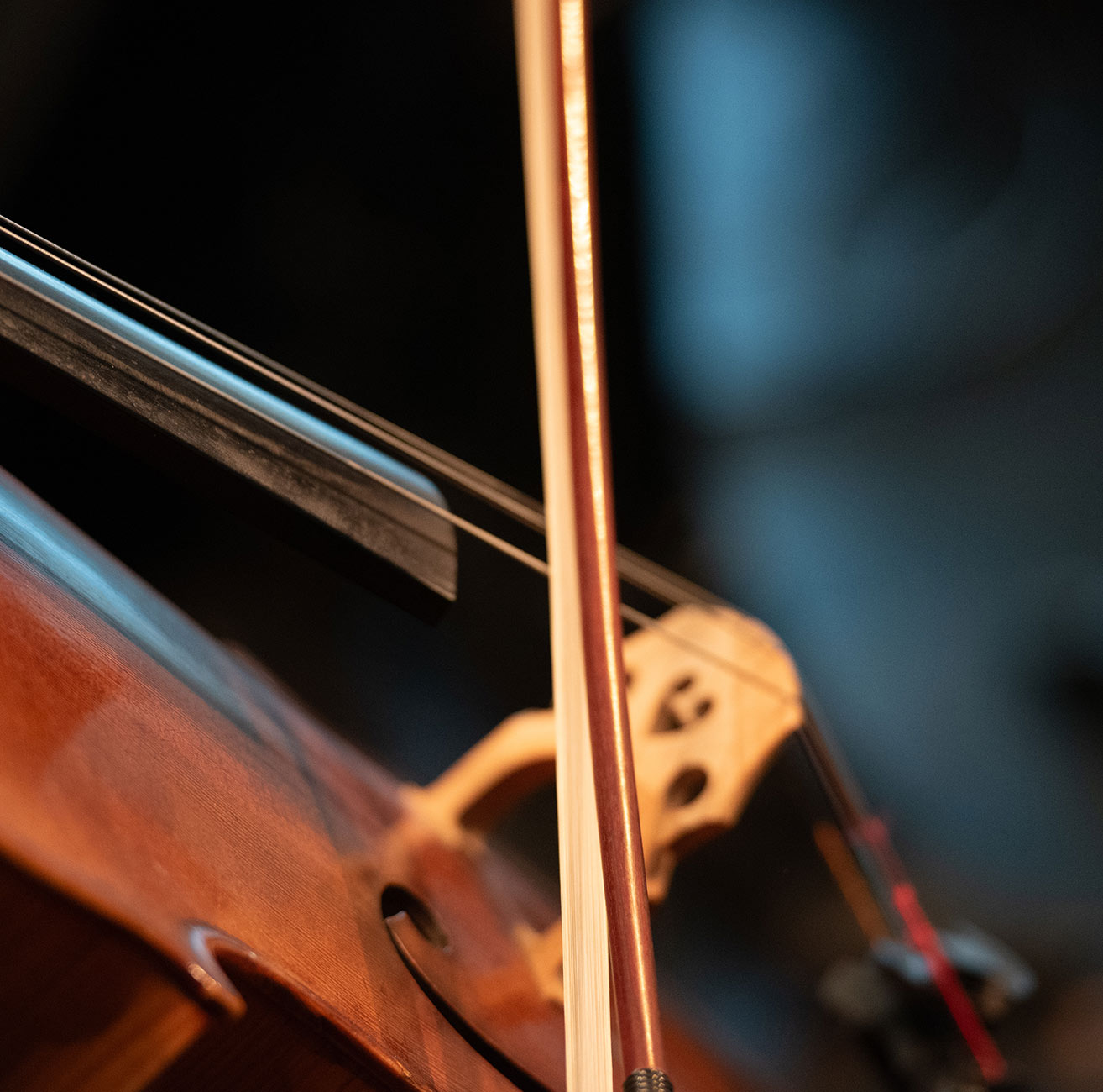 Nahaufnahme einer Violine mit Bogen, der die Saiten berührt, Holz und Saiten sind sichtbar.