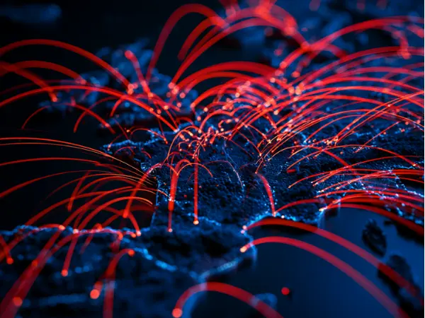 France 1ère victime des cyberattaques en france