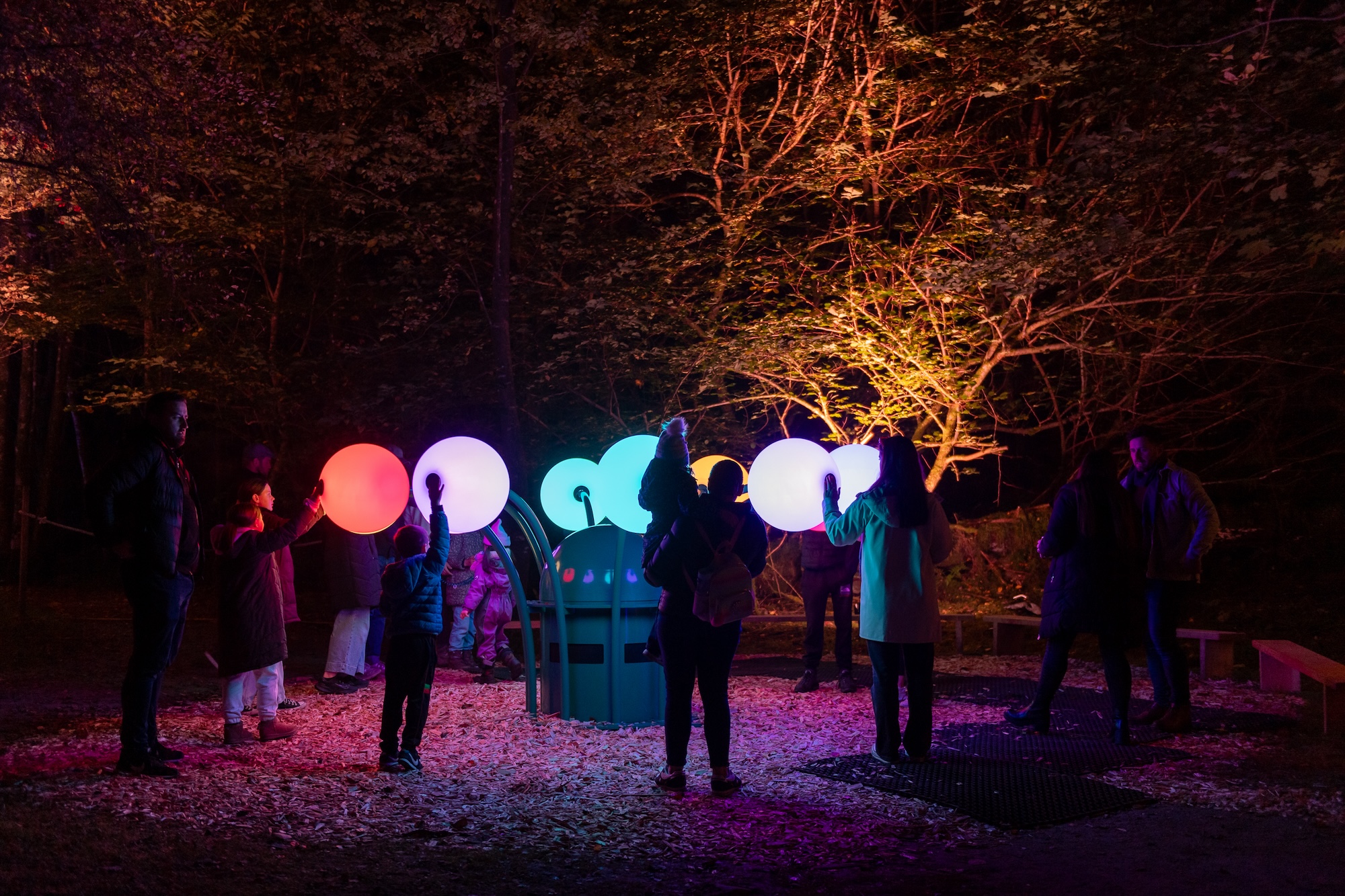 A light installation with bulbs that stem outwards like a flower from a central point, situated within a forest at night, with many people interacting with the installation