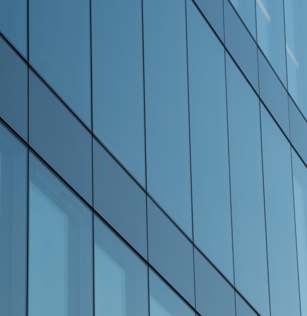 Commercial Cleaning