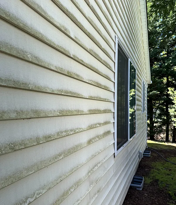 Home exterior siding covered with algae, grime, and dirt, clearly in need of professional cleaning