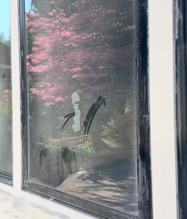 Before Pressure Washing Transformations in Bellevue WA