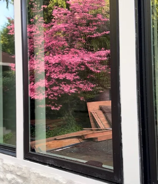 After - Pressure Washing Transformations in Bellevue WA