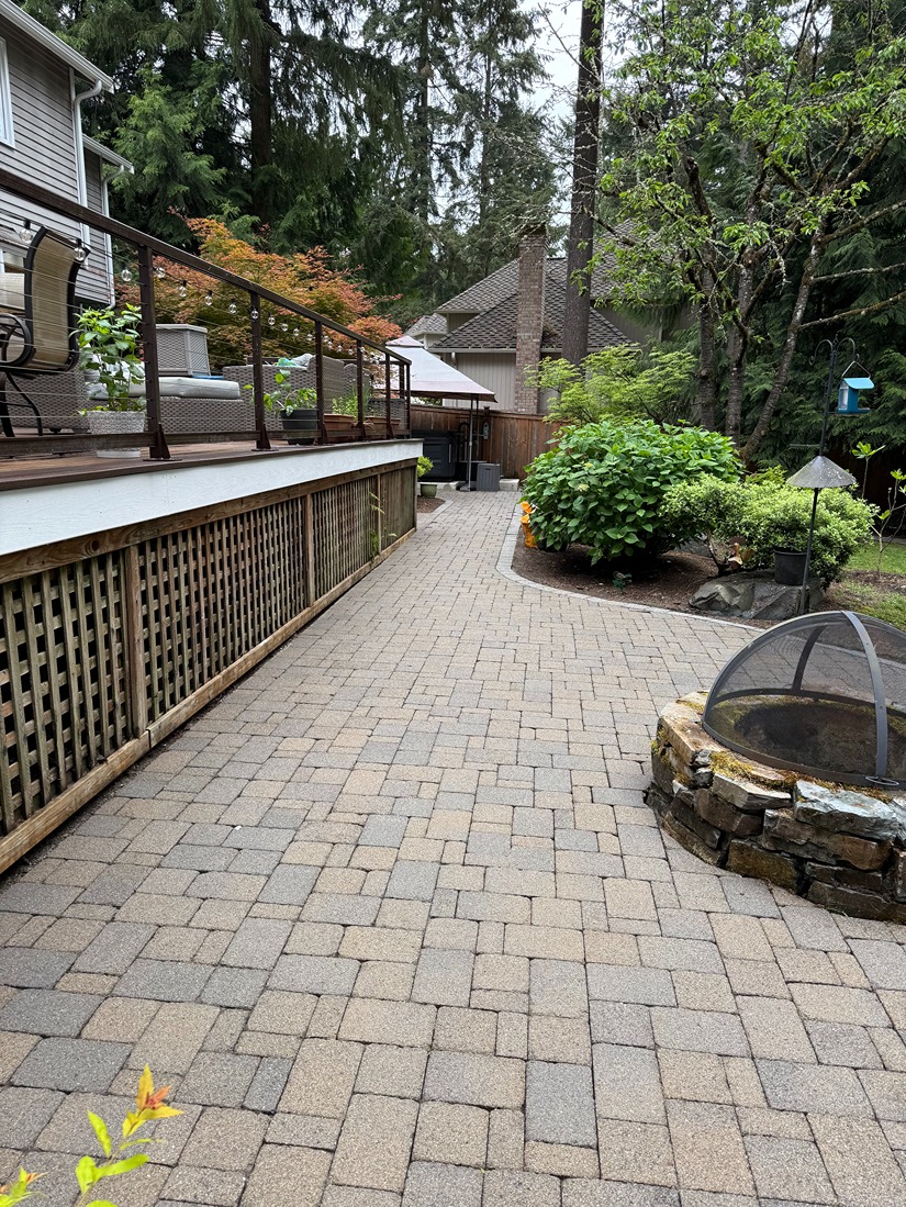 House Washing Services in Bellevue and Surrounding Communities