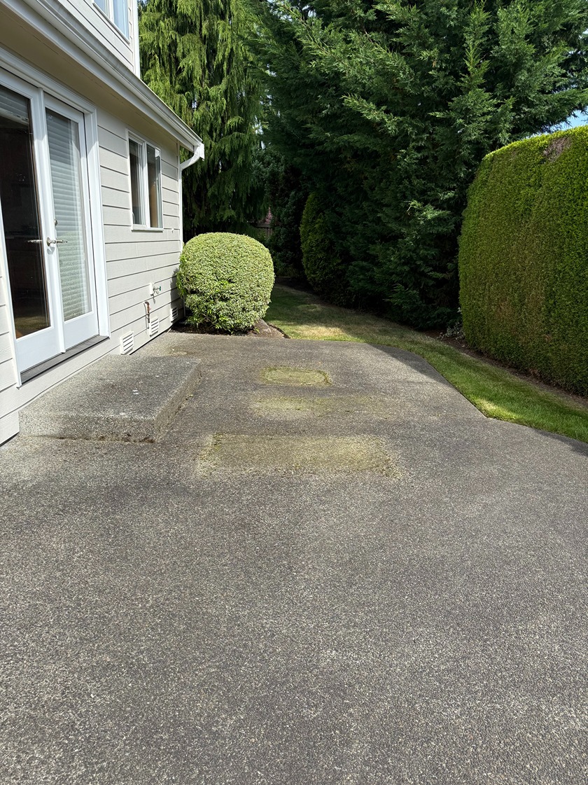 Patio Cleaning