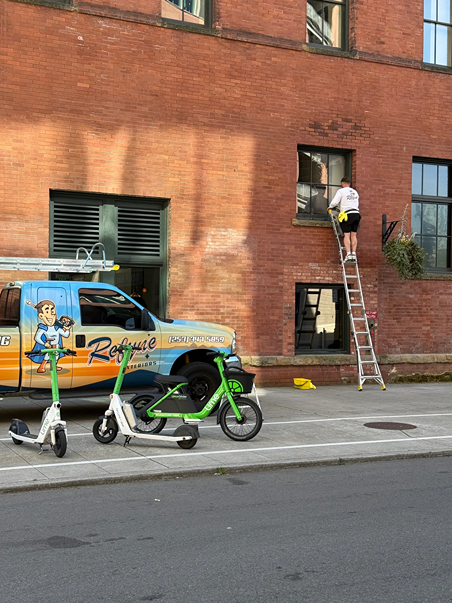 Frame and Track Cleaning
