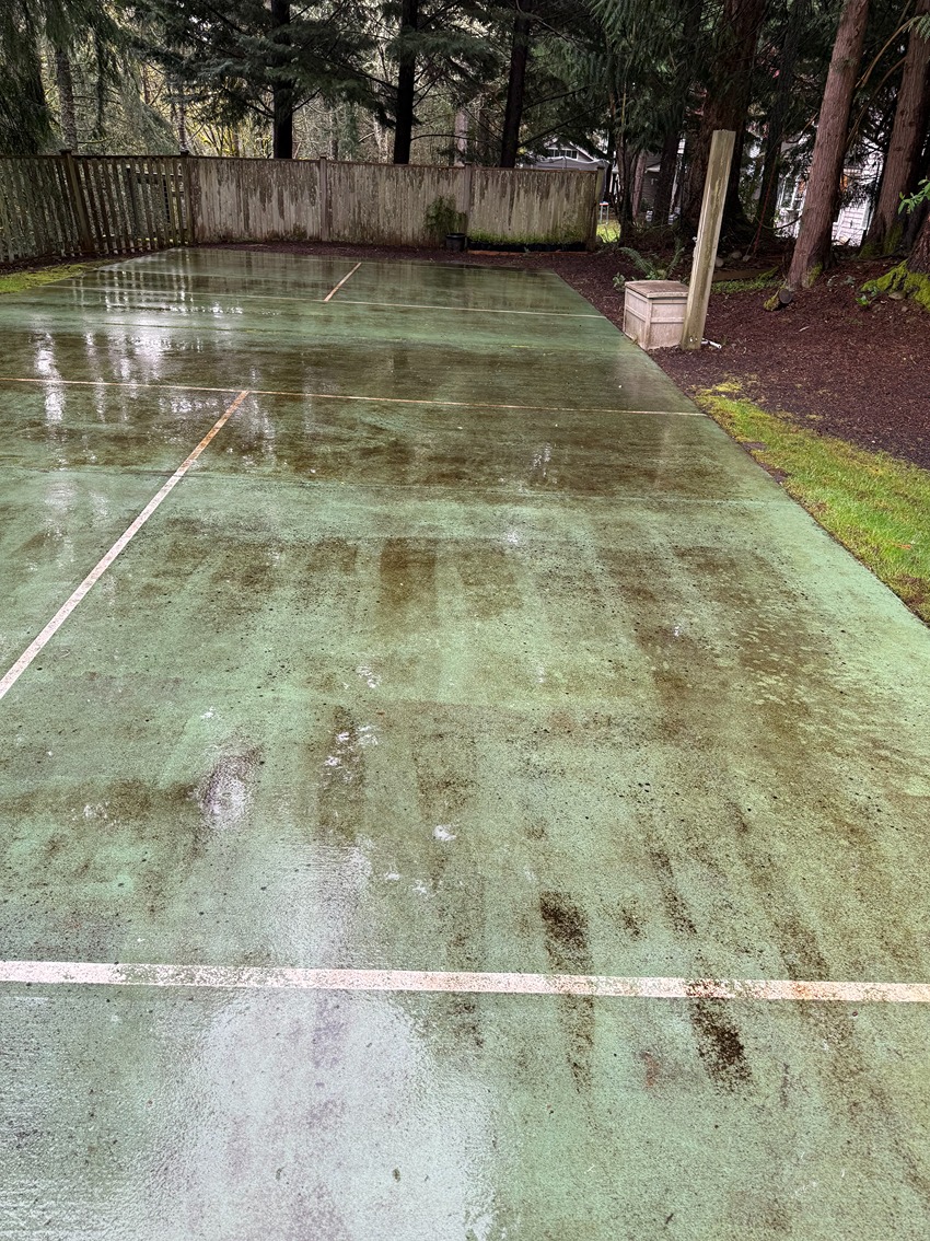 Pressure Washing - Before