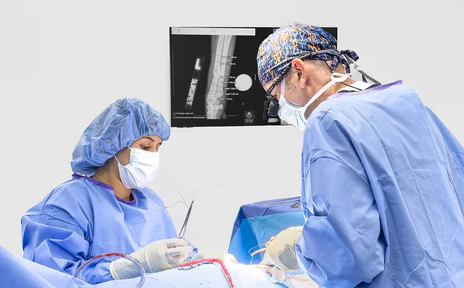 Shoulder Osteochondrosis Dissecans (OCD) In Dogs
