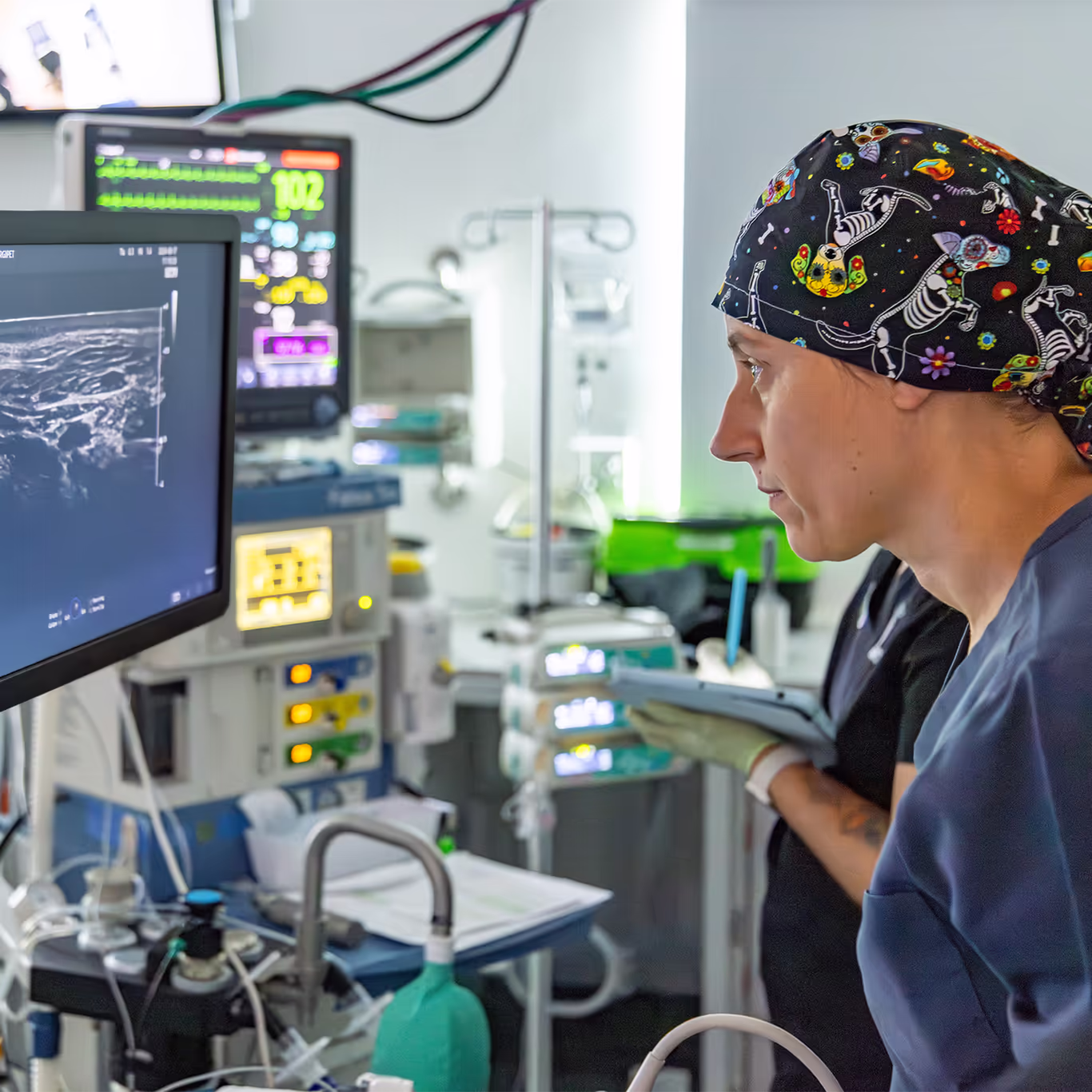 Dr. Margaret Wypart, DVM, DACVAA, anesthesiologist at SurgiPet performing an ultrasound-guided nerve block that numbs the surgical site
