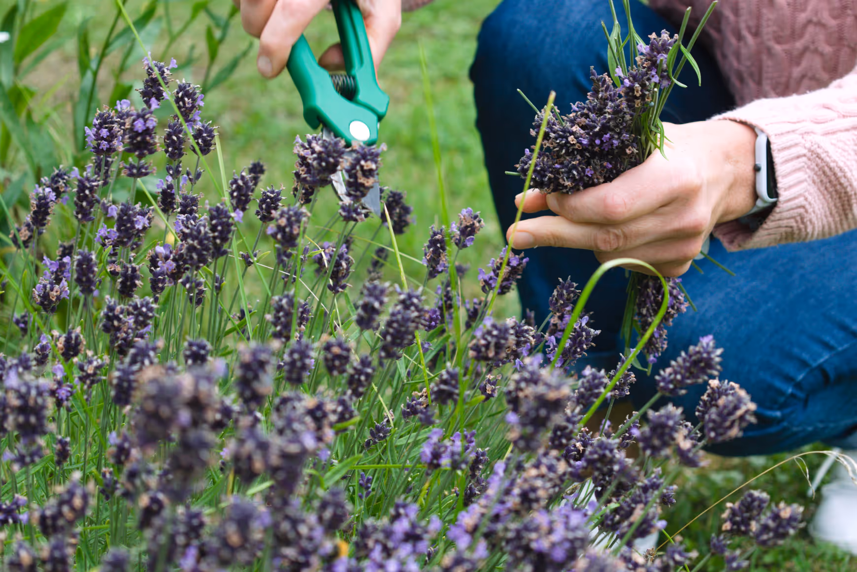 CTA Quote Background