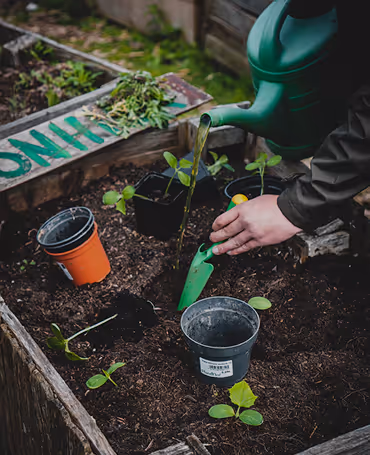 Cobbler; stick to your last