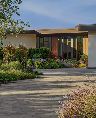 If you say courgette, you say Berdea