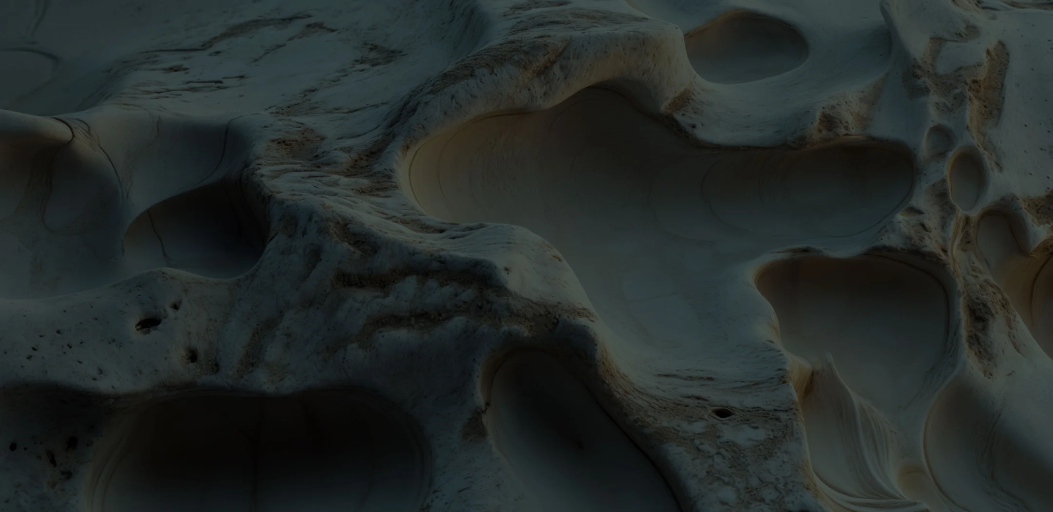 een close-up van een rots