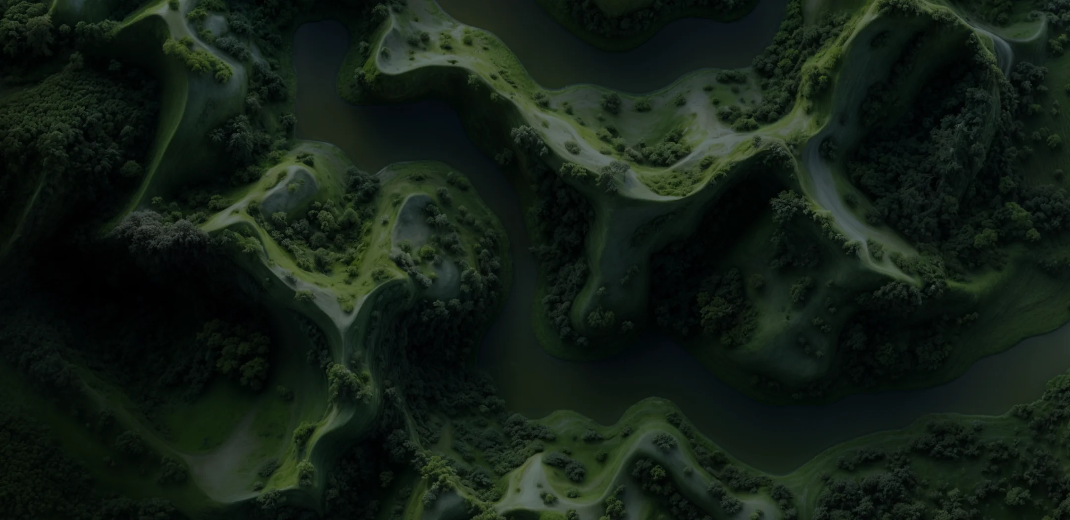 luchtfoto van een groen landschap