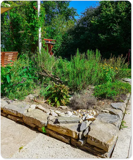 gartenpflege und schnitt