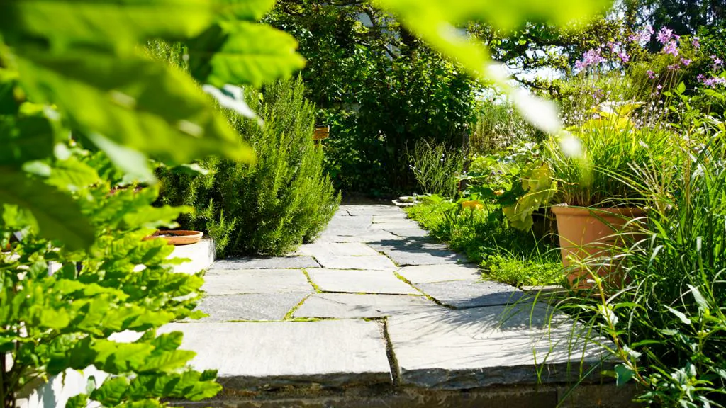 gartenunterhalt und gartenpflege vom gärtner