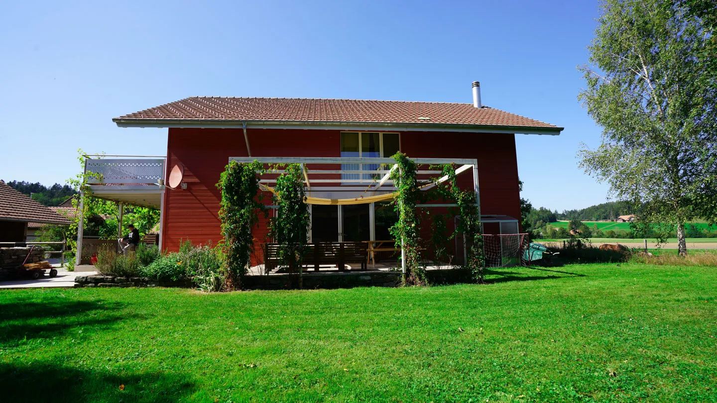 gartenpflege und rasenschnitt