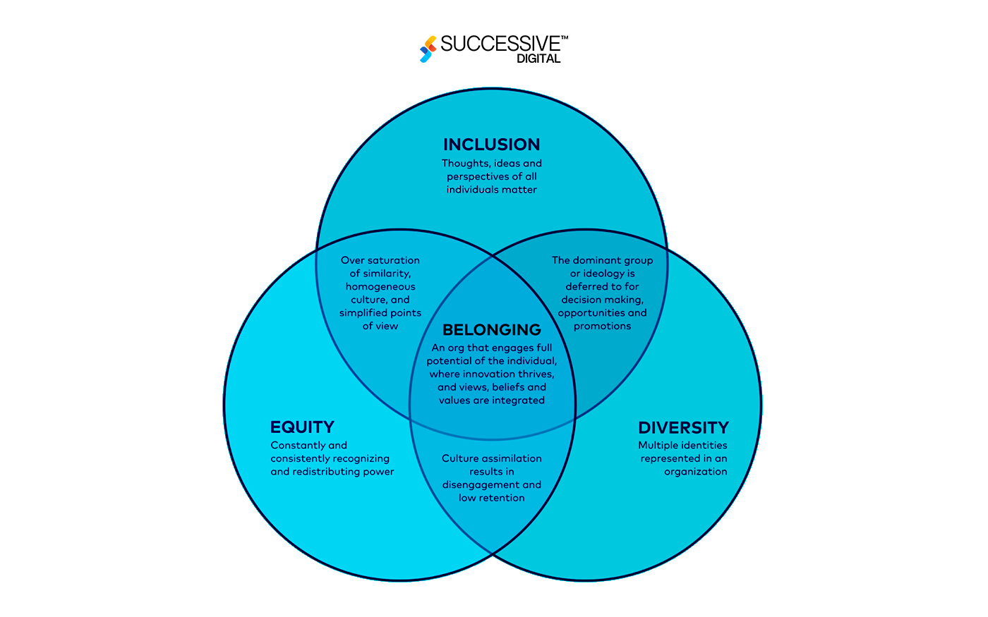 Challenges in Developing Cross-Cultural Competence