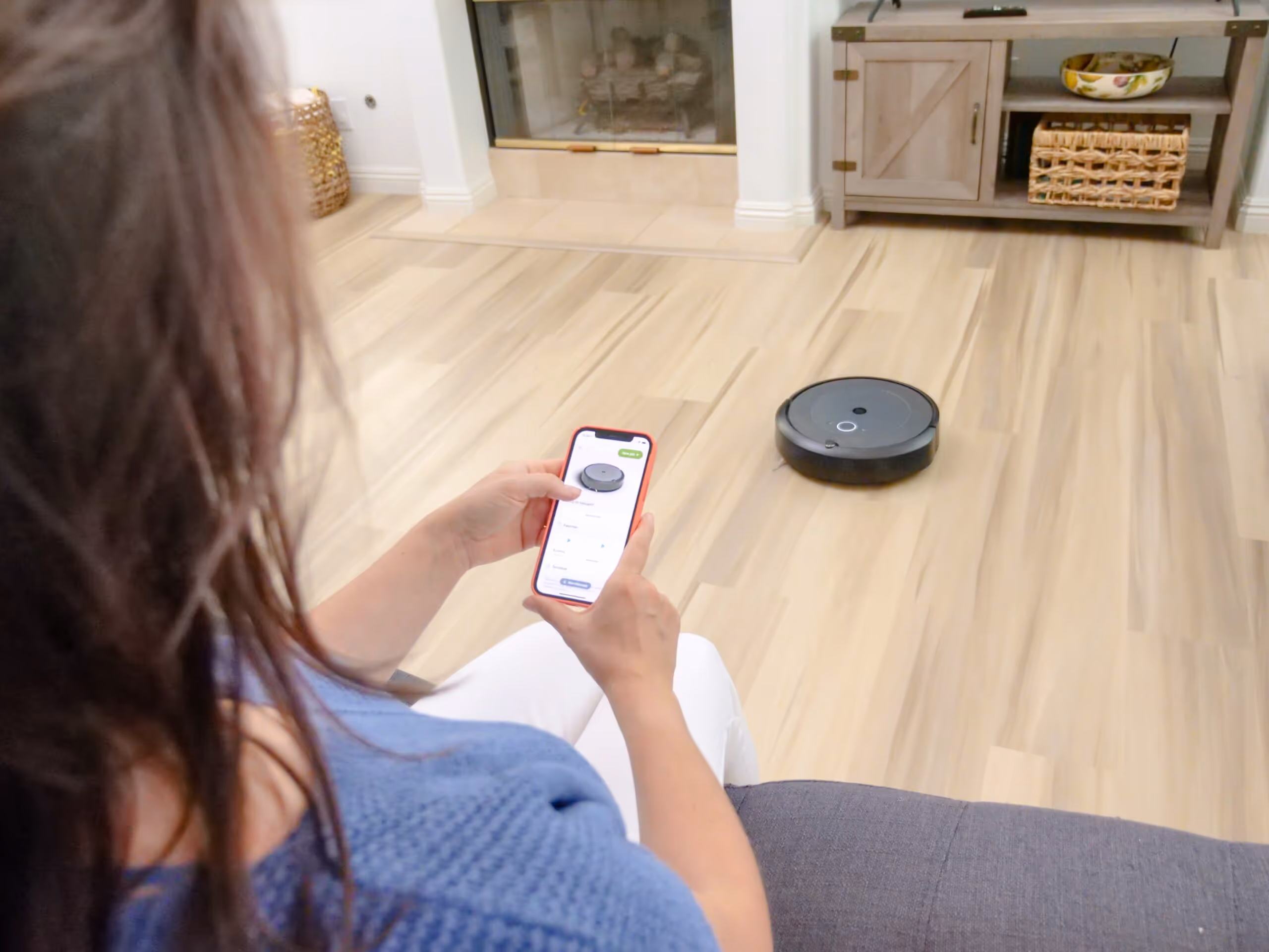 corporate web application development in USA